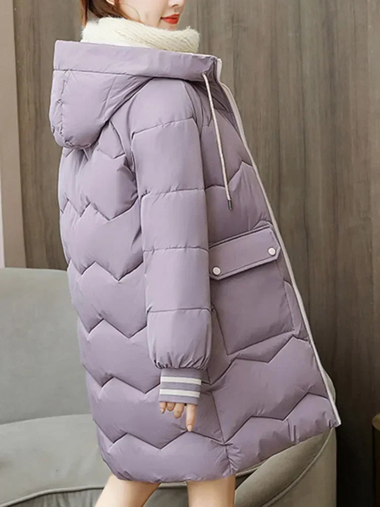 Women's Adventure Jacket