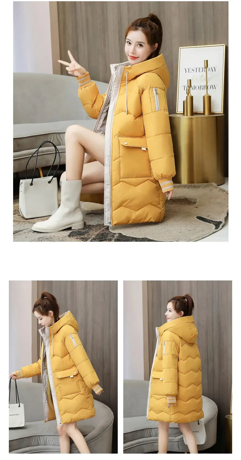 Women's Adventure Jacket