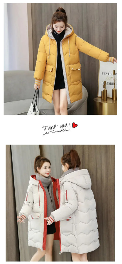 Women's Adventure Jacket